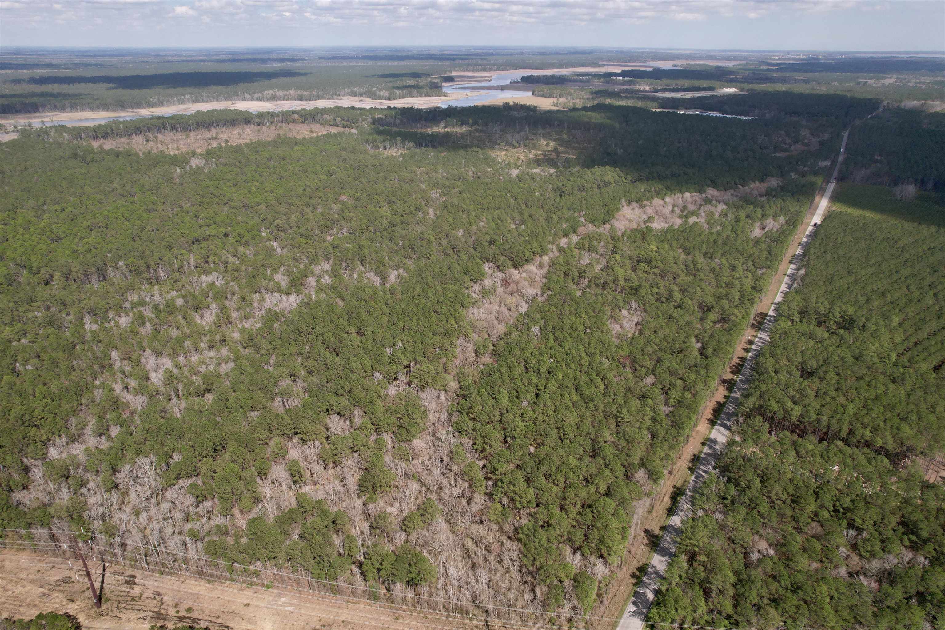Tract C - TBD Pennyroyal Rd., Georgetown