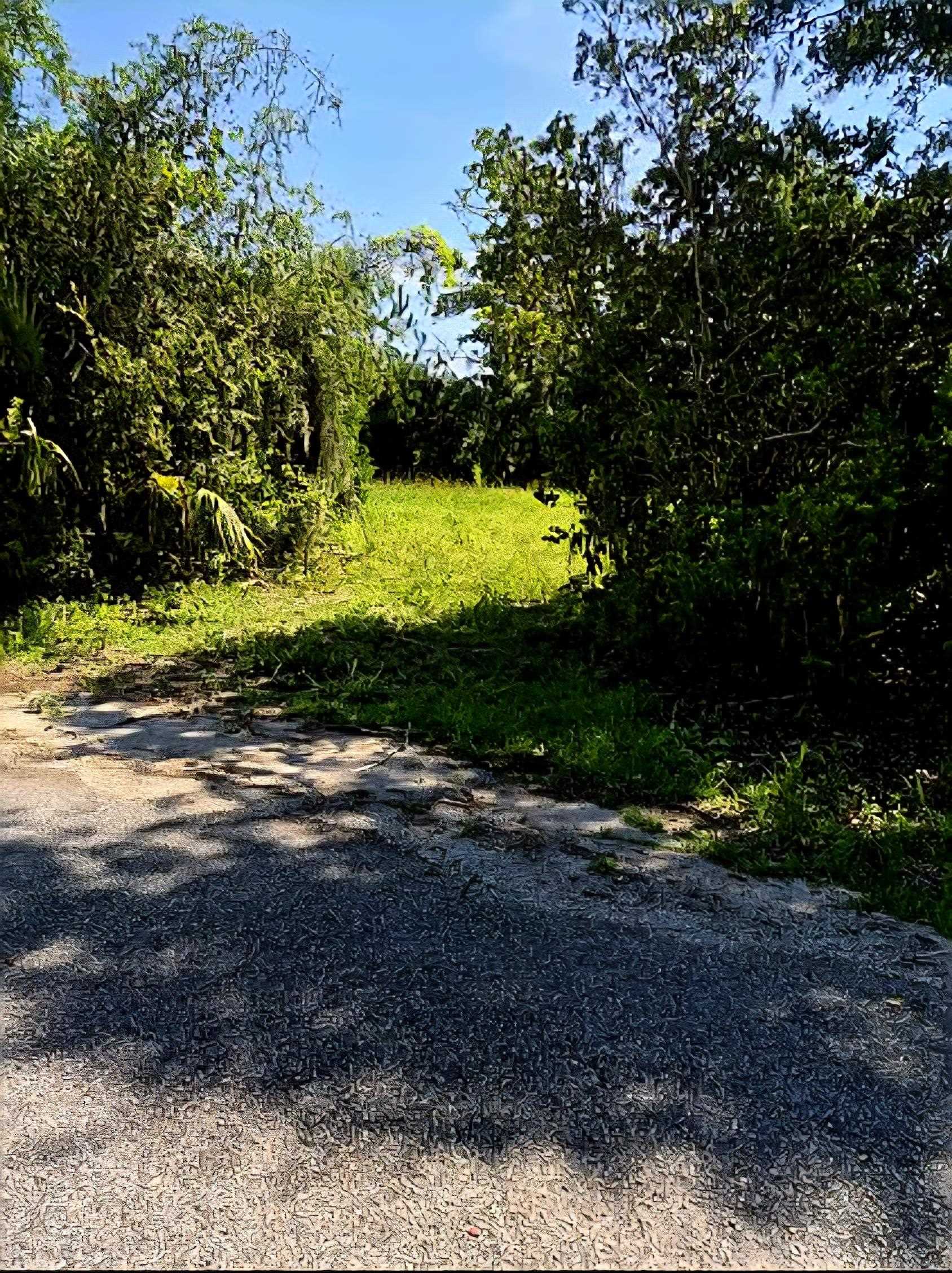 tbd Watson Way, Pawleys Island