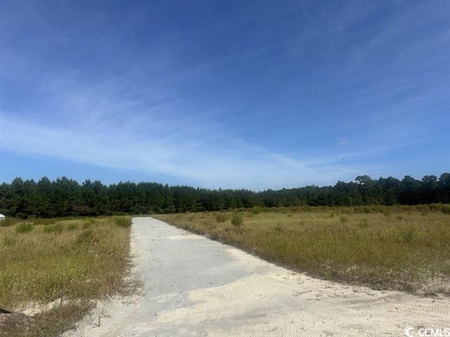 Tansy Rd., Loris