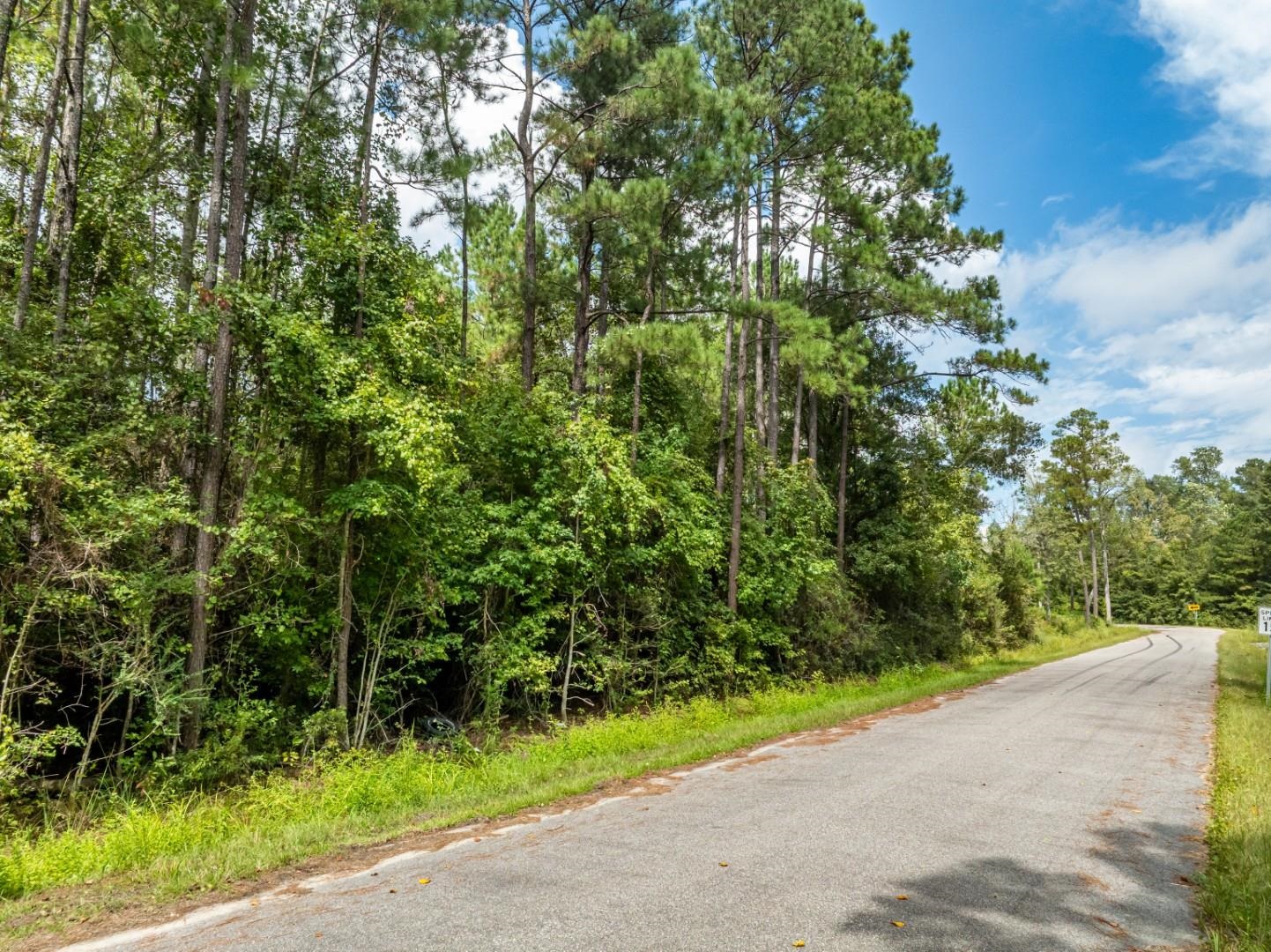 1223 Rainbow Dr., Loris
