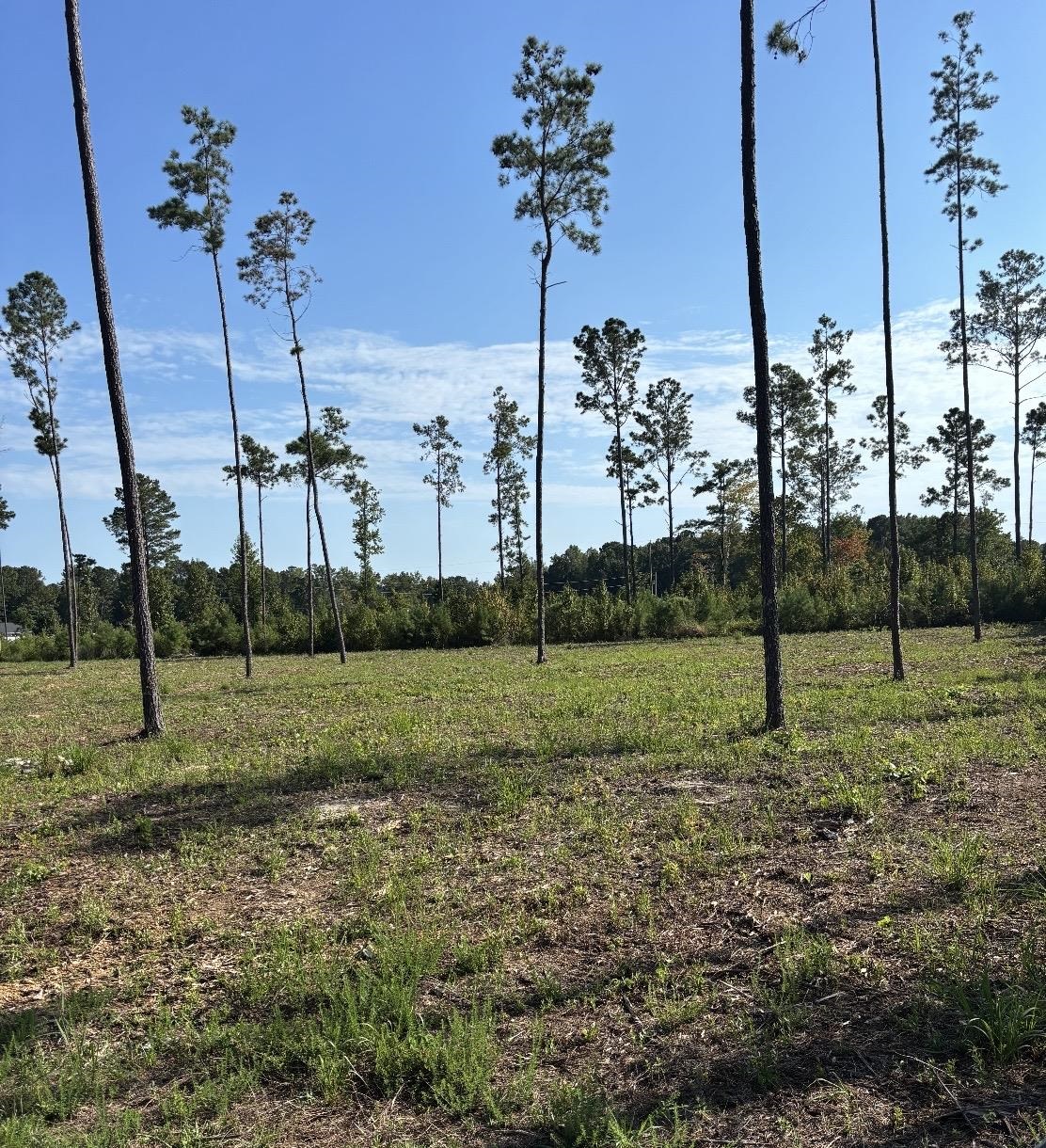 TBD Cane Branch Church Rd., Conway