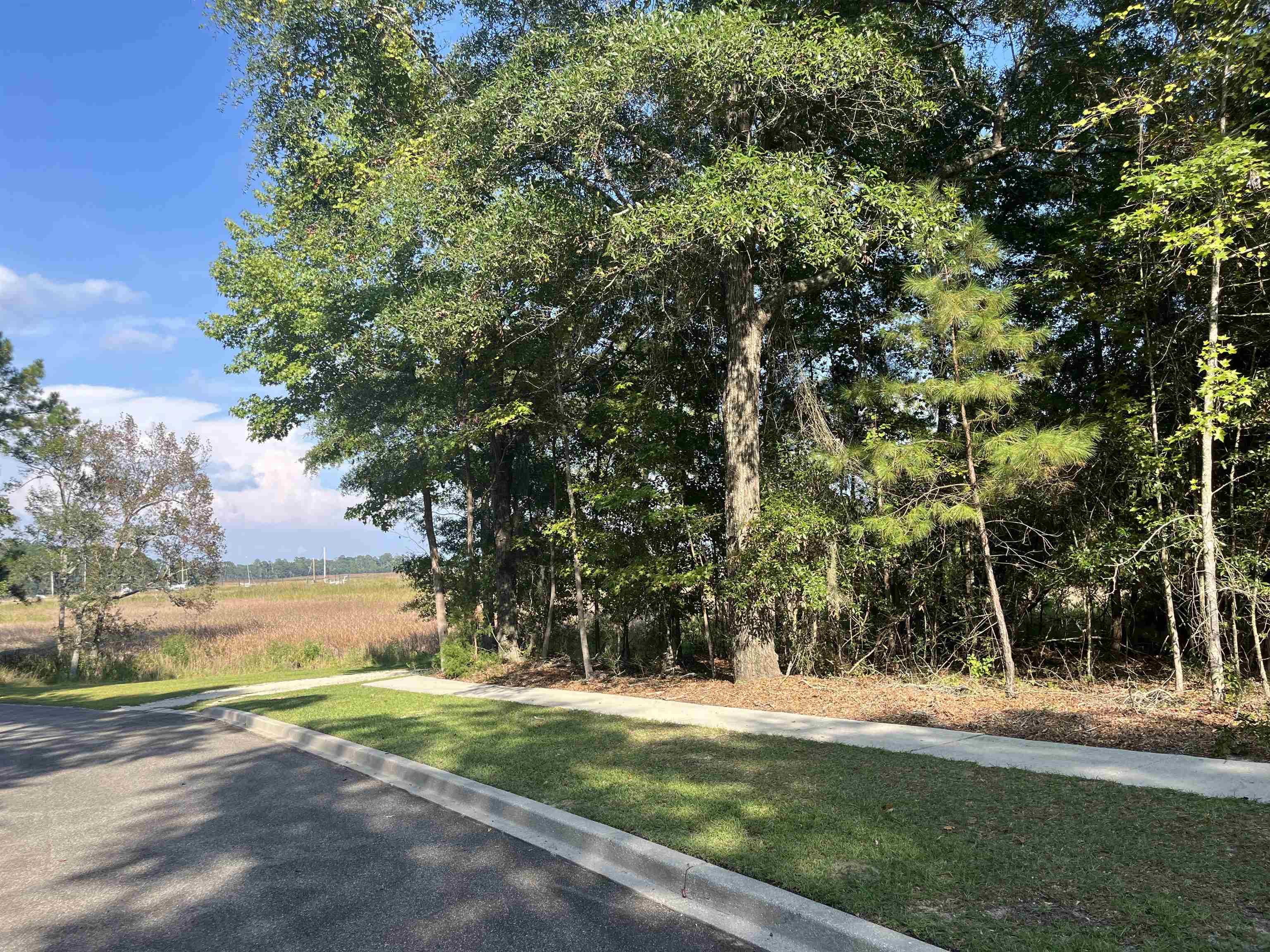 TBD Warham Dr., Georgetown