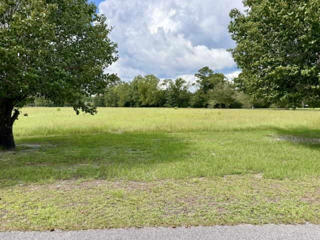 TBD Holly View Ln., Loris