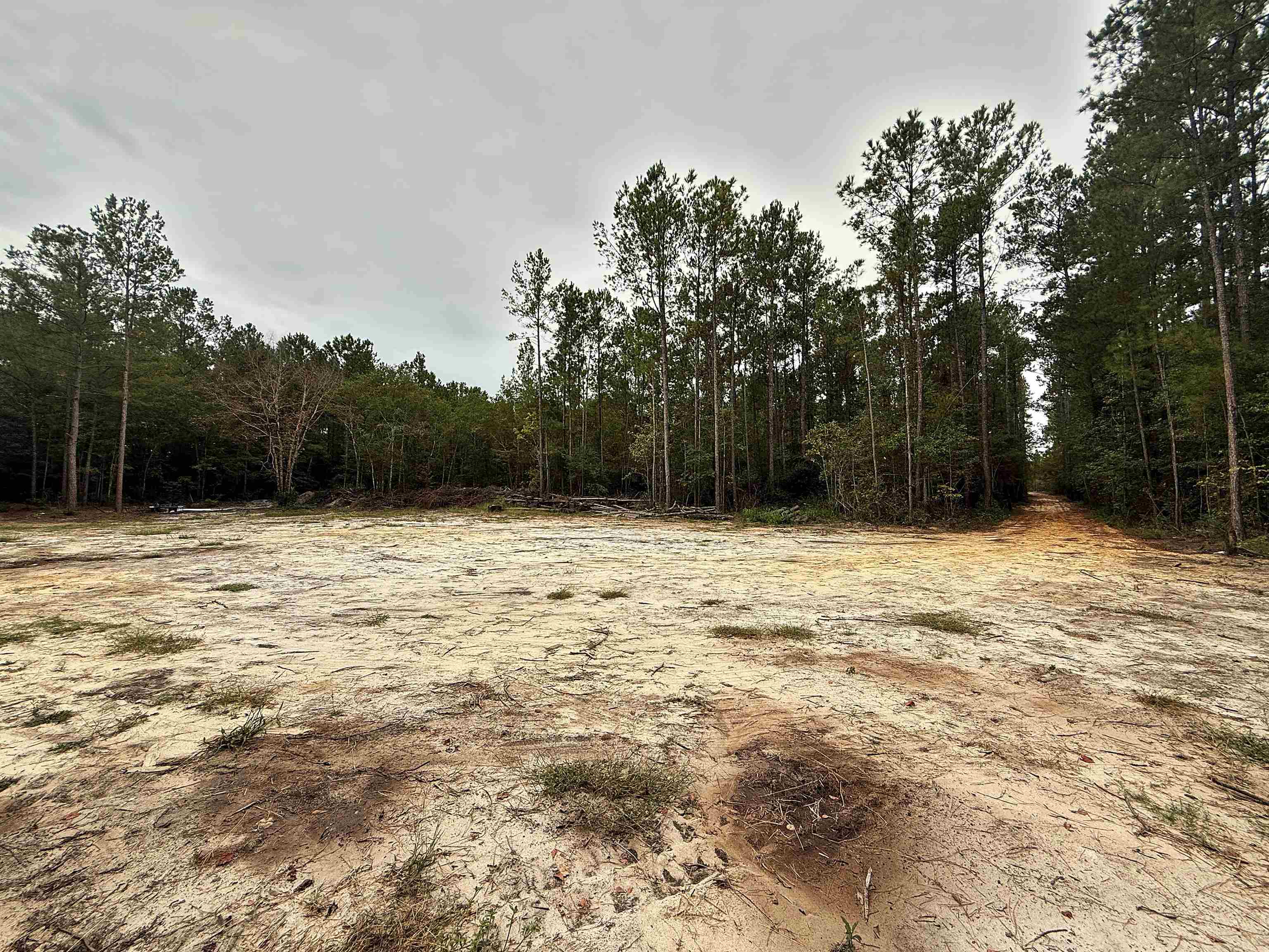 1682 Carriage Dr., Loris