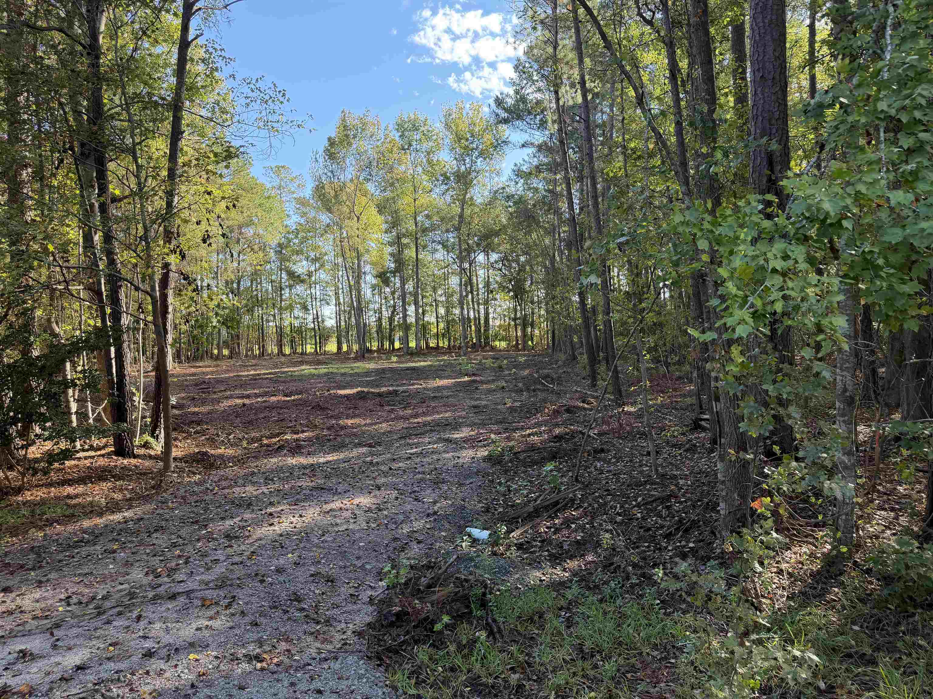 Tract 1 Wise Rd., Conway