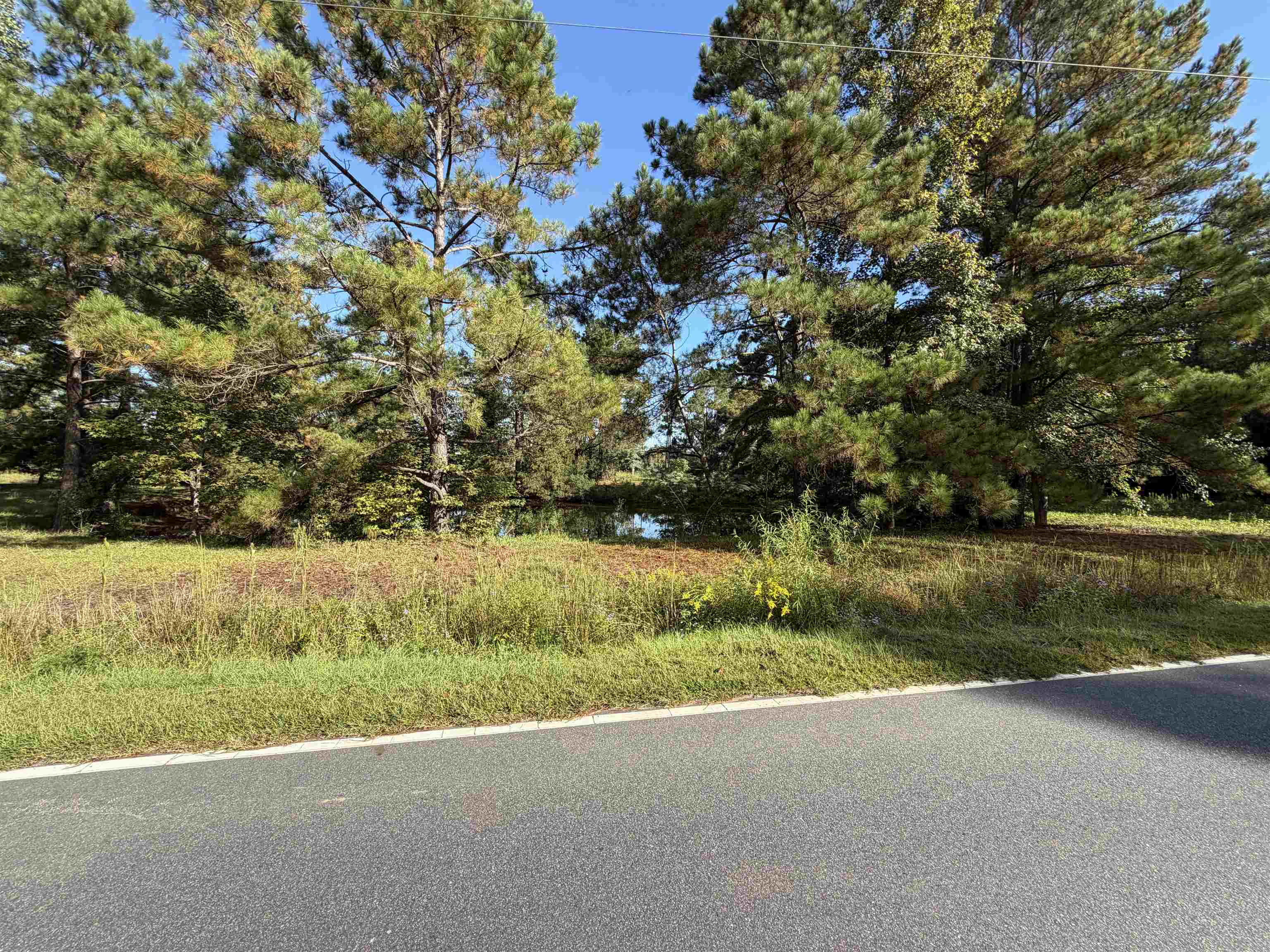 Tract 2 Wise Rd., Conway