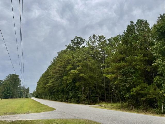 TBD Kourtni Ln., Conway