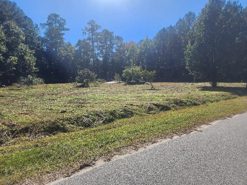 3357 Blain Ln., Conway