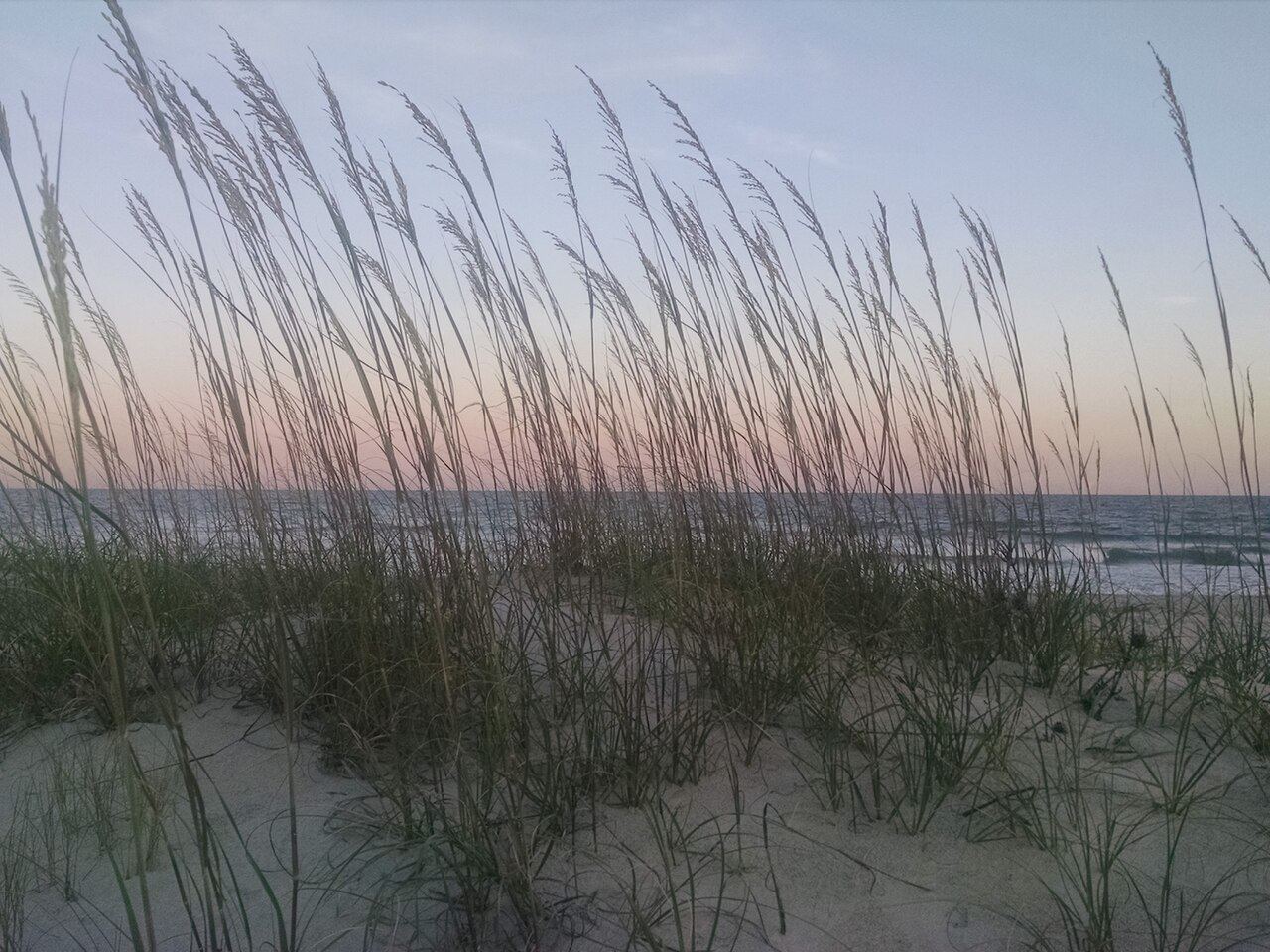 Dunes at Litchfield Beach