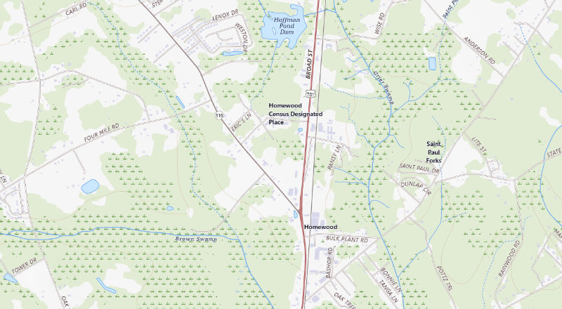 USGS topographic map of the Homewood area; not a parcel or school boundary